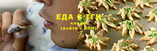 ECSTASY Бородино